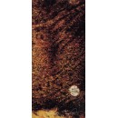 Vento lunare, 1988